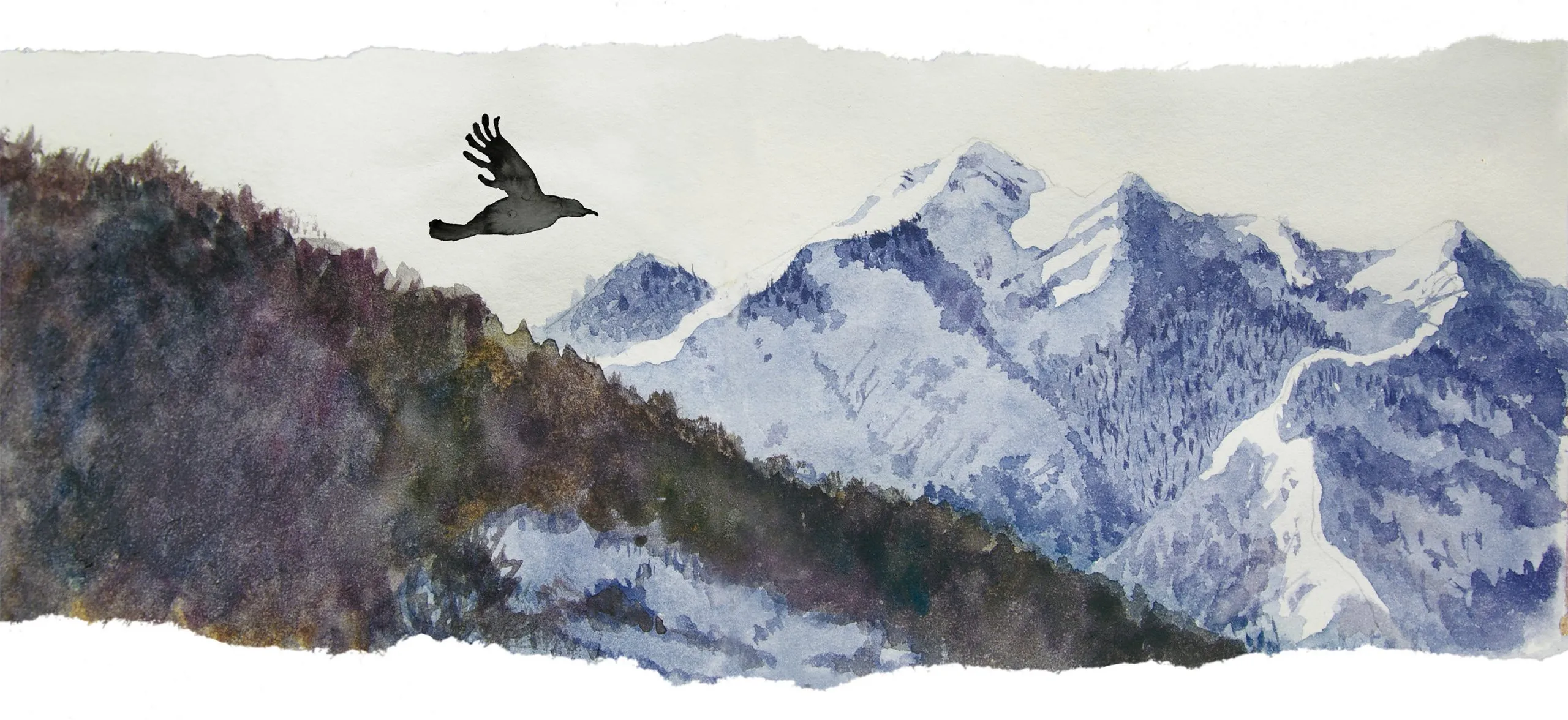 Corbeau [10 x 21 cm], dessin d'Émilie Tarascou