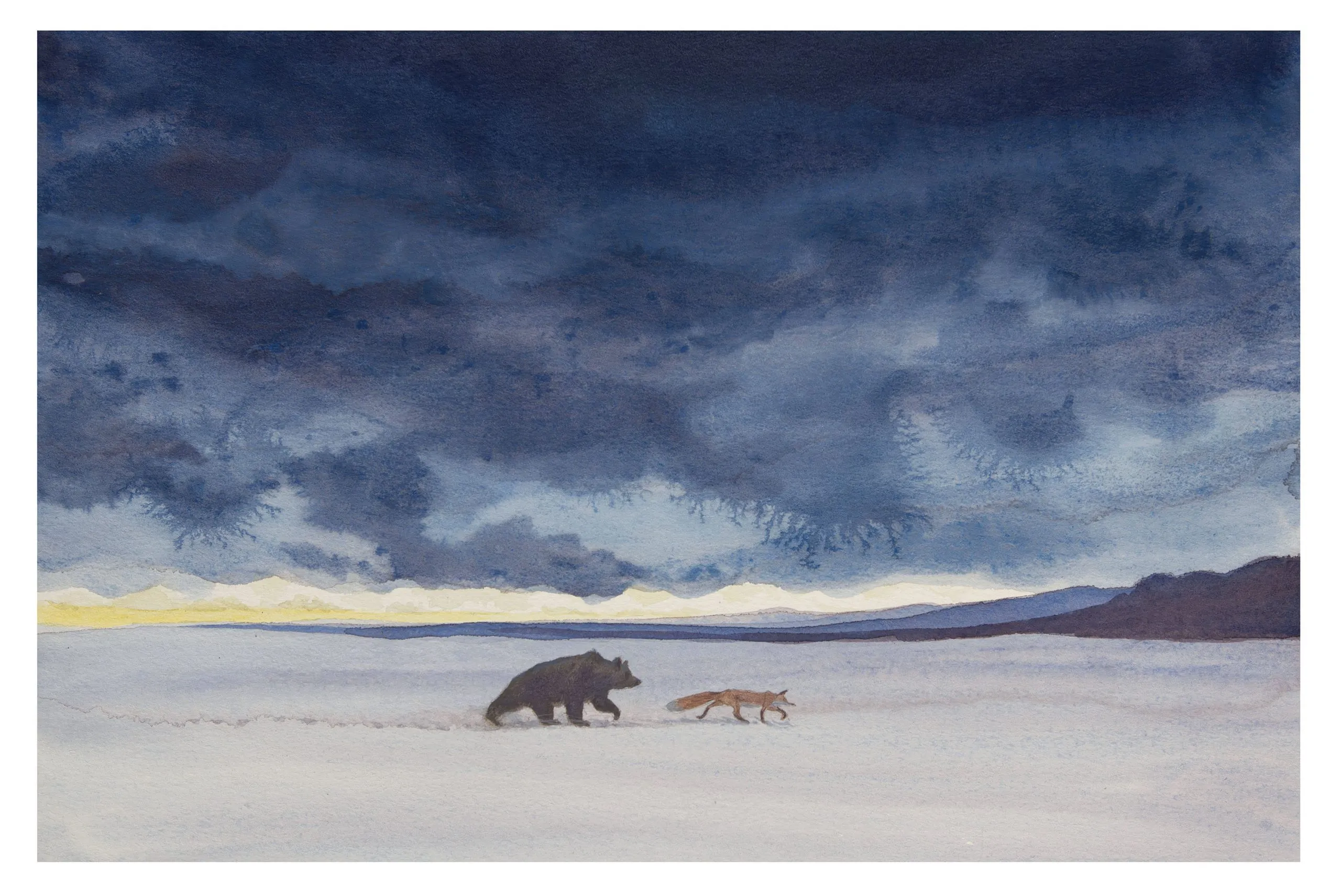 L’ours et le renard [A2], dessin d'Émilie Tarascou