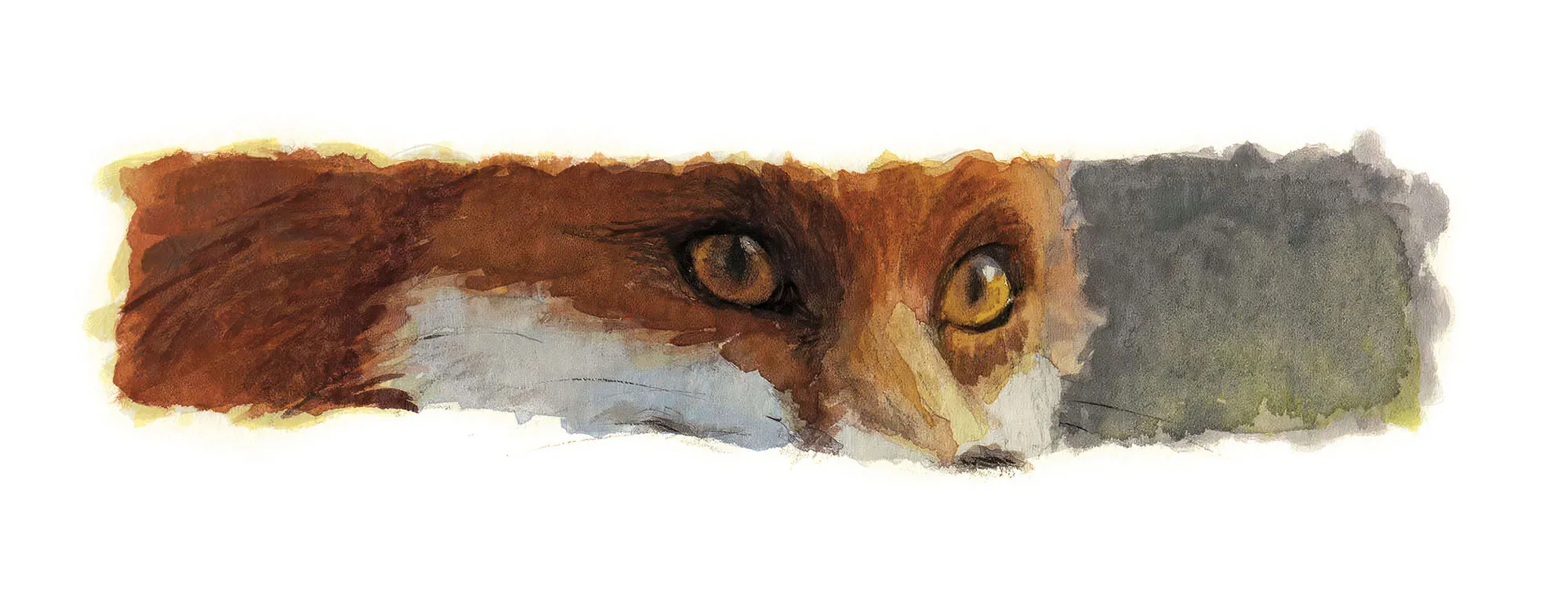 Renard [15 x 42 cm], dessin d'Émilie Tarascou