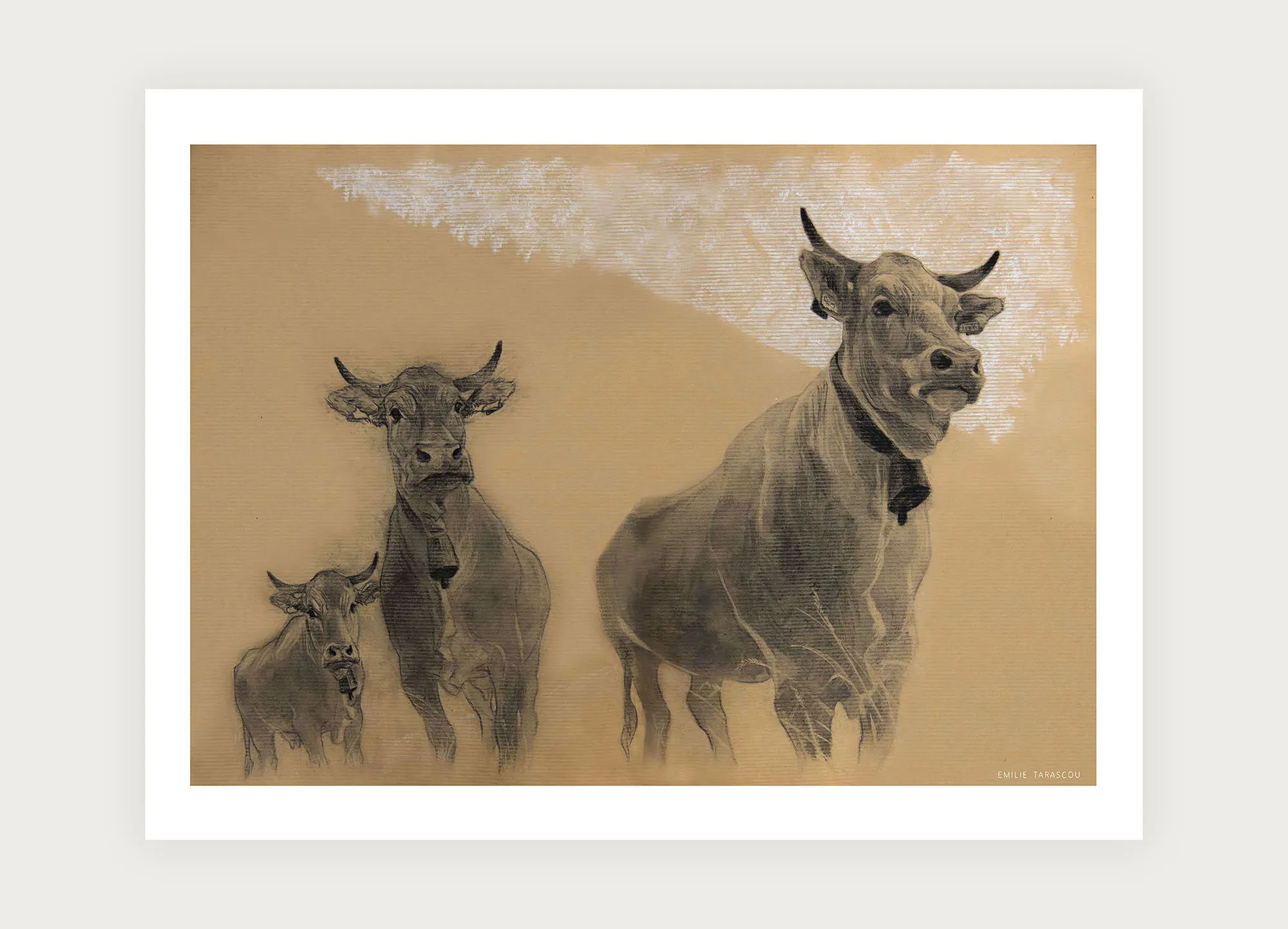 Vaches [A3]
