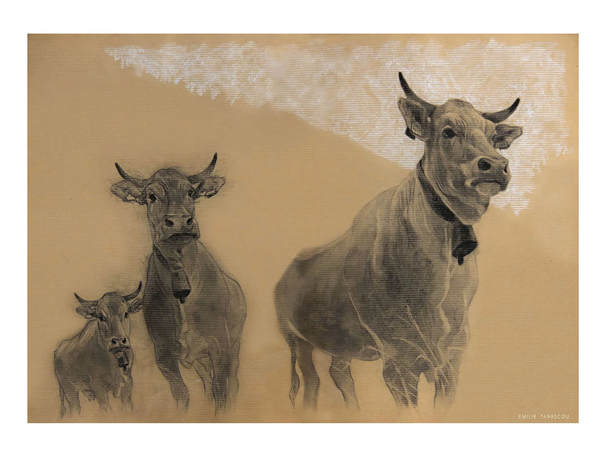 Vaches [A3], dessin d'Émilie Tarascou