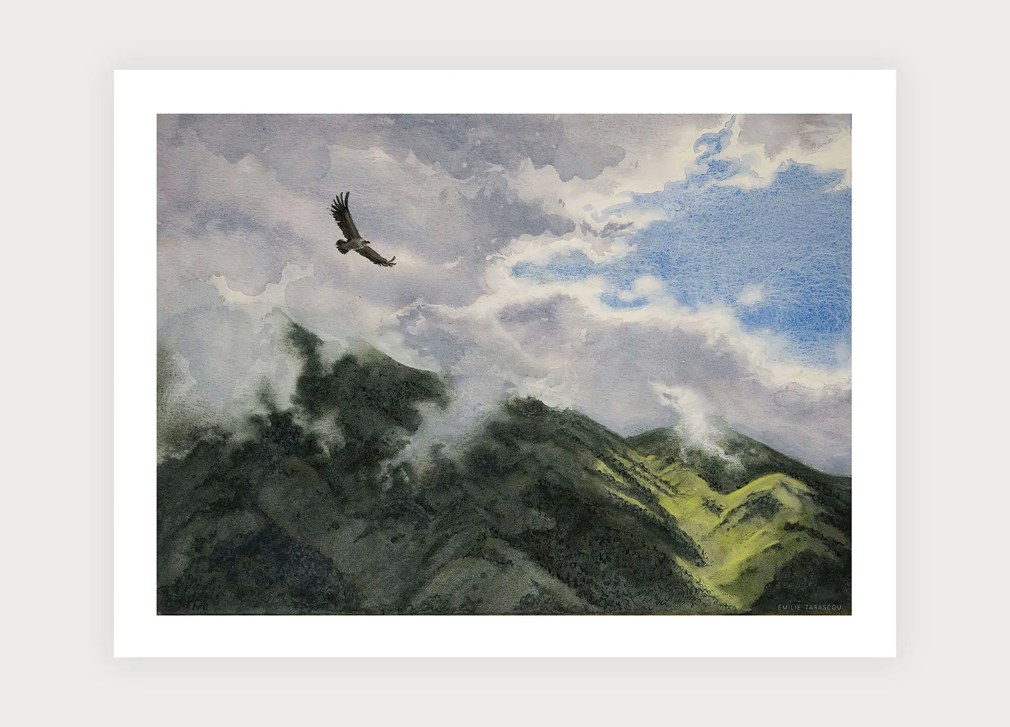 Vautour [A3]